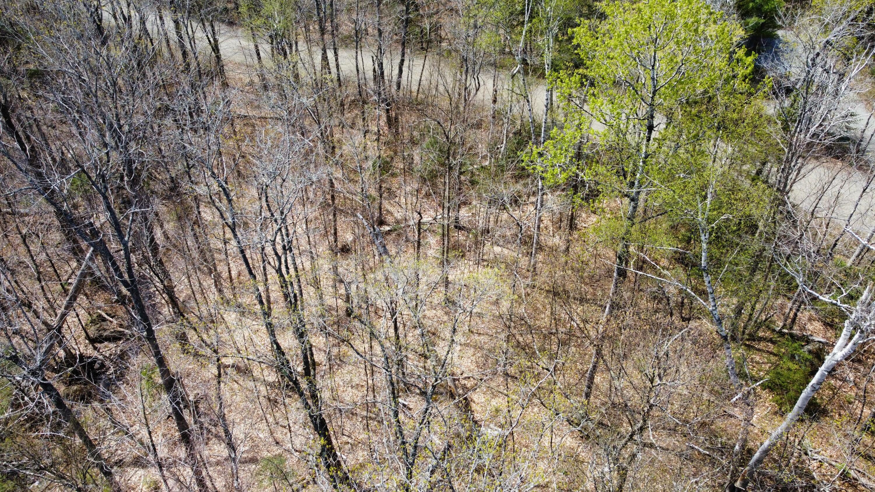 2029 Fox Hollow Road Carrabassett Valley ME 04947