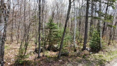 2029 Fox Hollow Road Carrabassett Valley ME 04947