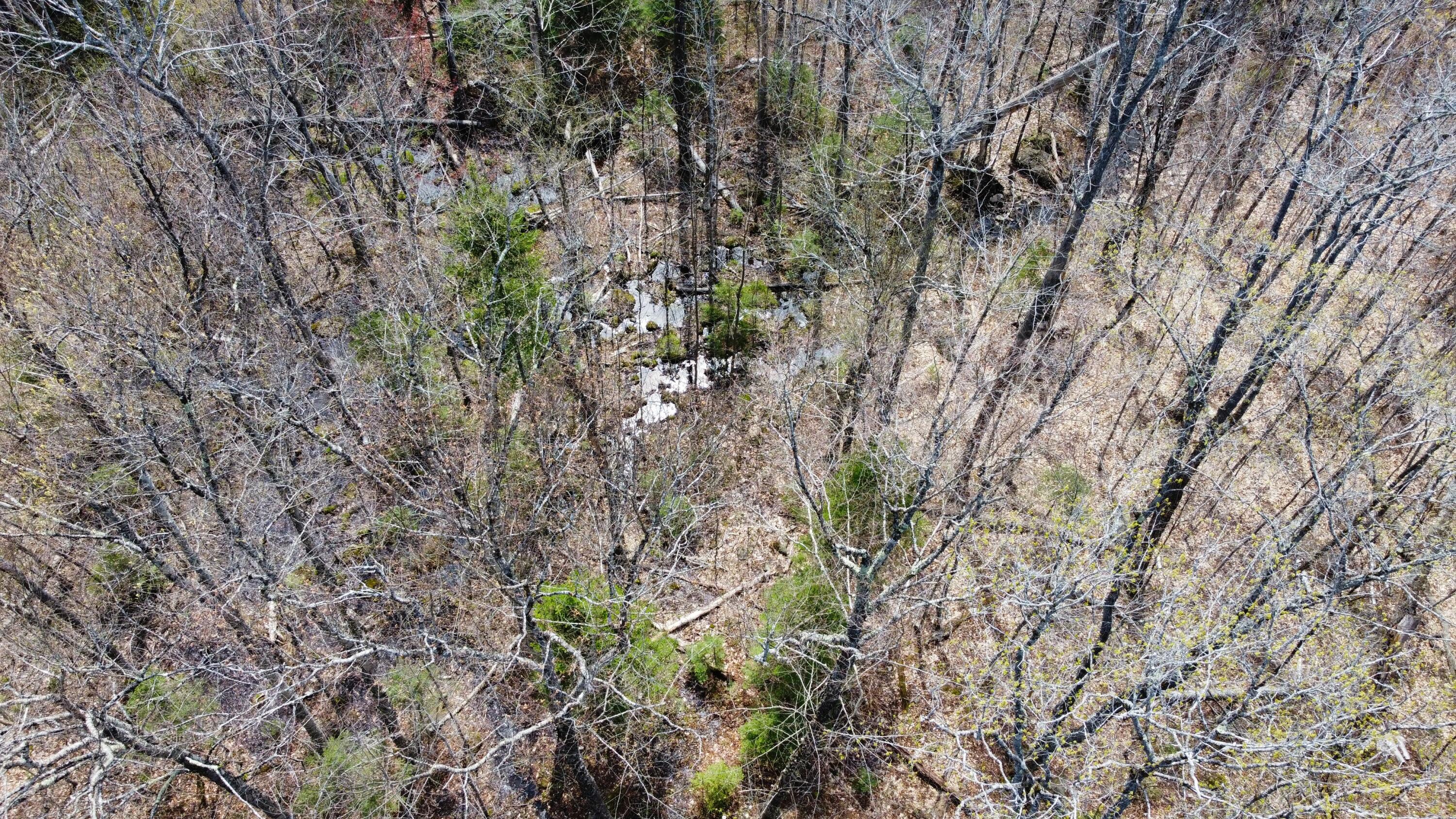 2029 Fox Hollow Road Carrabassett Valley ME 04947
