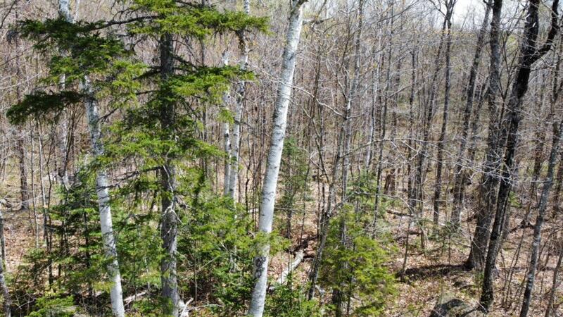 2029 Fox Hollow Road Carrabassett Valley ME 04947