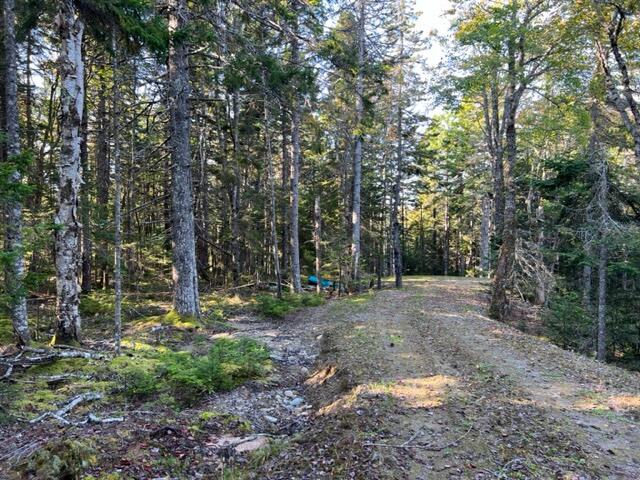 Lot 13 Collins Cove Road Machiasport ME 04655