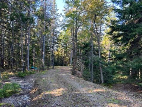 Lot 13 Collins Cove Road Machiasport ME 04655