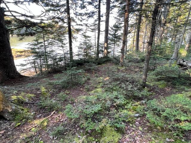 Lot 13 Collins Cove Road Machiasport ME 04655