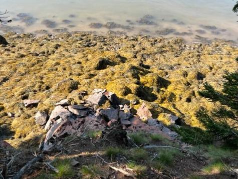 Lot 13 Collins Cove Road Machiasport ME 04655