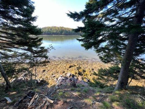 Lot 13 Collins Cove Road Machiasport ME 04655
