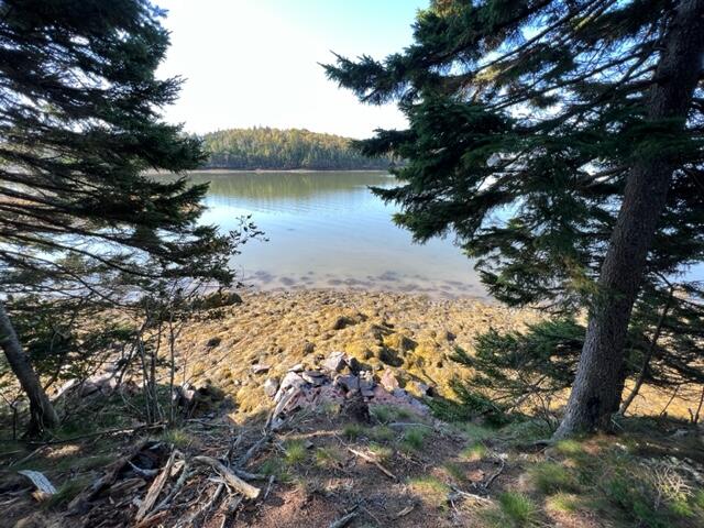 Lot 13 Collins Cove Road Machiasport ME 04655