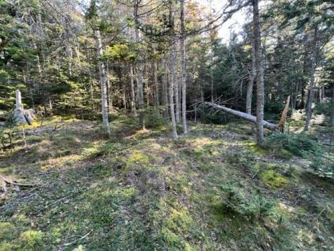 Lot 13 Collins Cove Road Machiasport ME 04655
