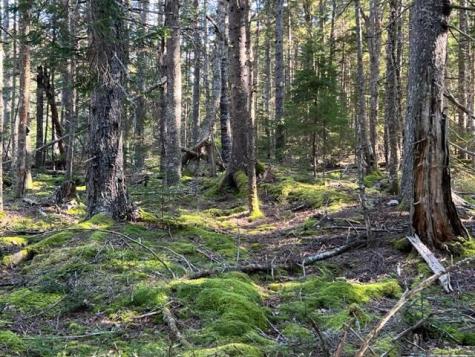 Lot 13 Collins Cove Road Machiasport ME 04655