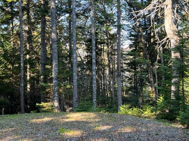 Lot 13 Collins Cove Road Machiasport ME 04655