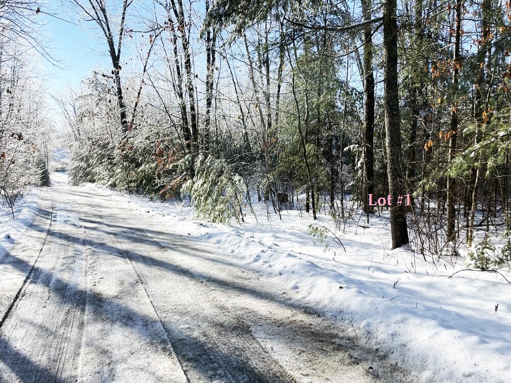 Lot #1 Nissan Farm Lane Extension Damariscotta ME 04543