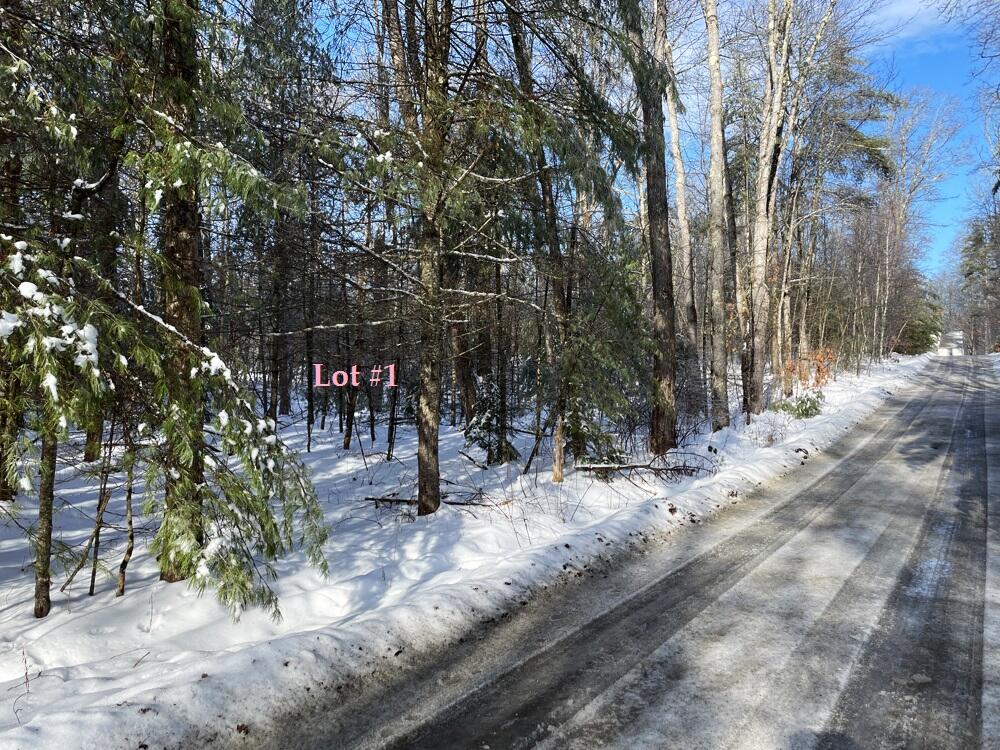 Lot #1 Nissan Farm Lane Extension Damariscotta ME 04543