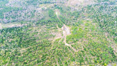 Lot 11 11a &11c Partridge Road Hampden ME 04444