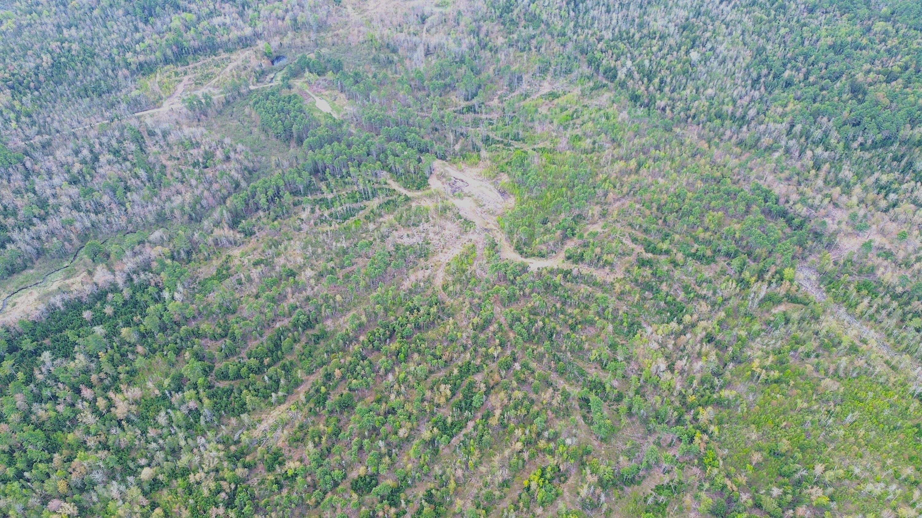 Lot 11 11a &11c Partridge Road Hampden ME 04444