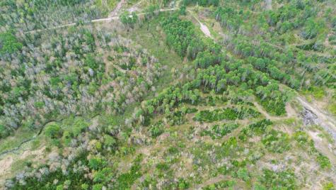 Lot 11 11a &11c Partridge Road Hampden ME 04444