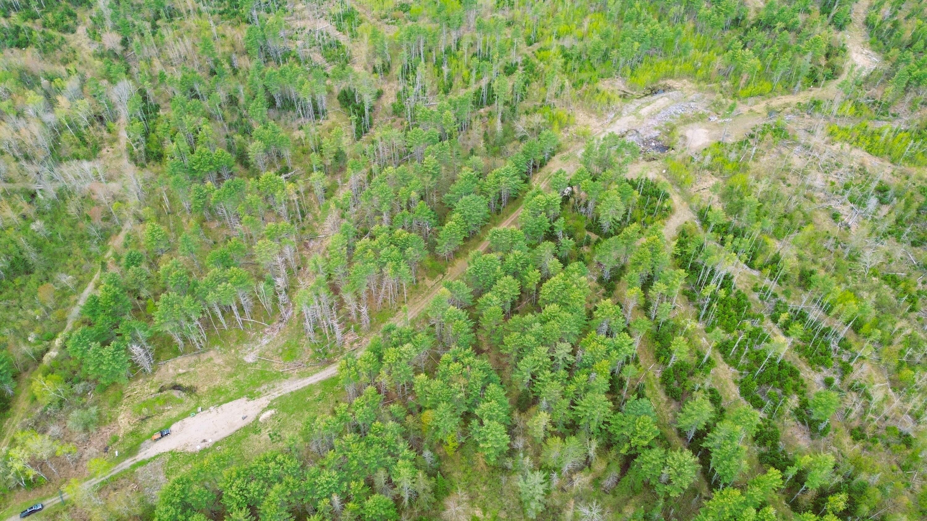 Lot 11 11a &11c Partridge Road Hampden ME 04444