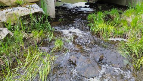 Lot 11 11a &11c Partridge Road Hampden ME 04444