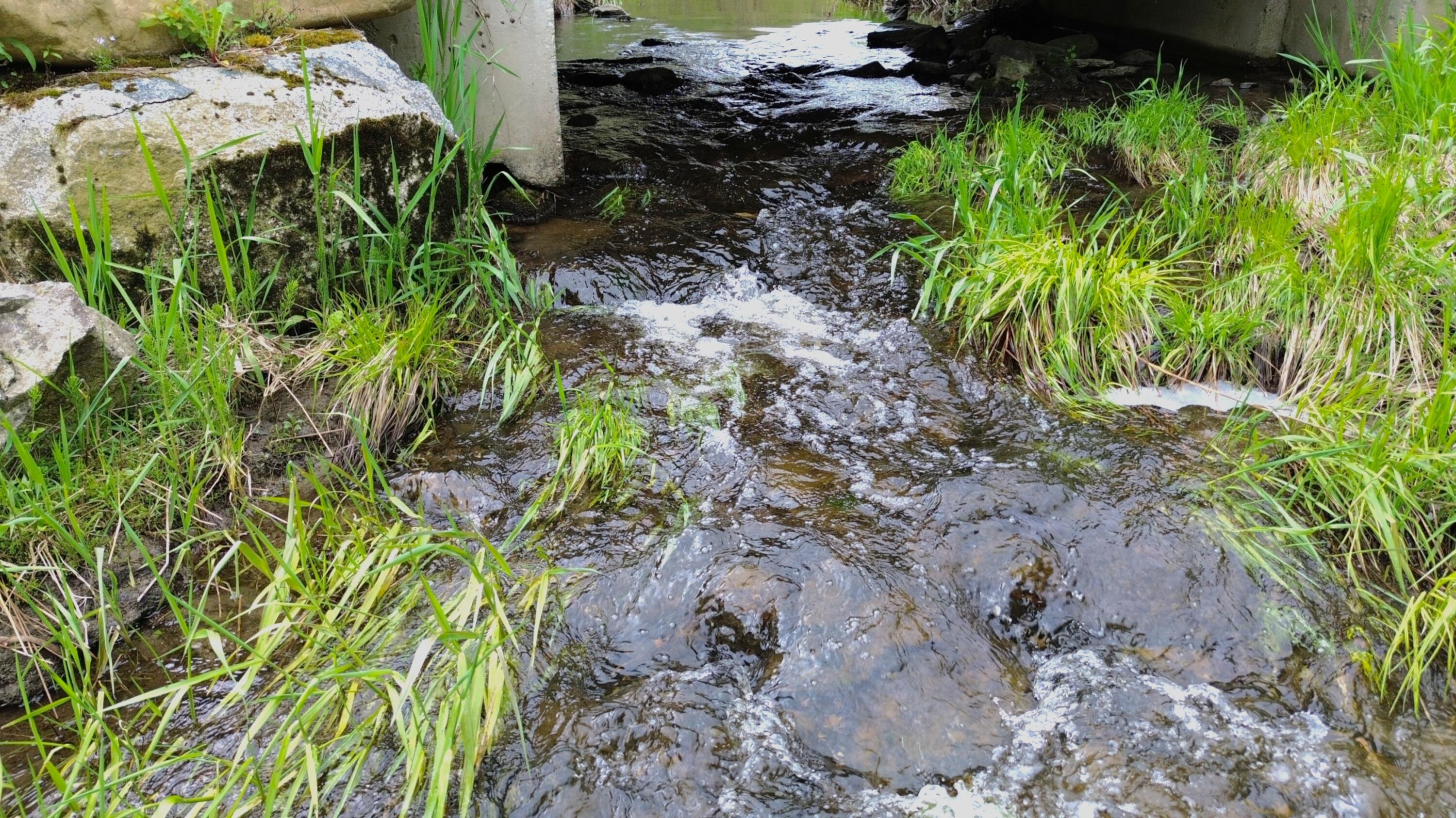 Lot 11 11a &11c Partridge Road Hampden ME 04444