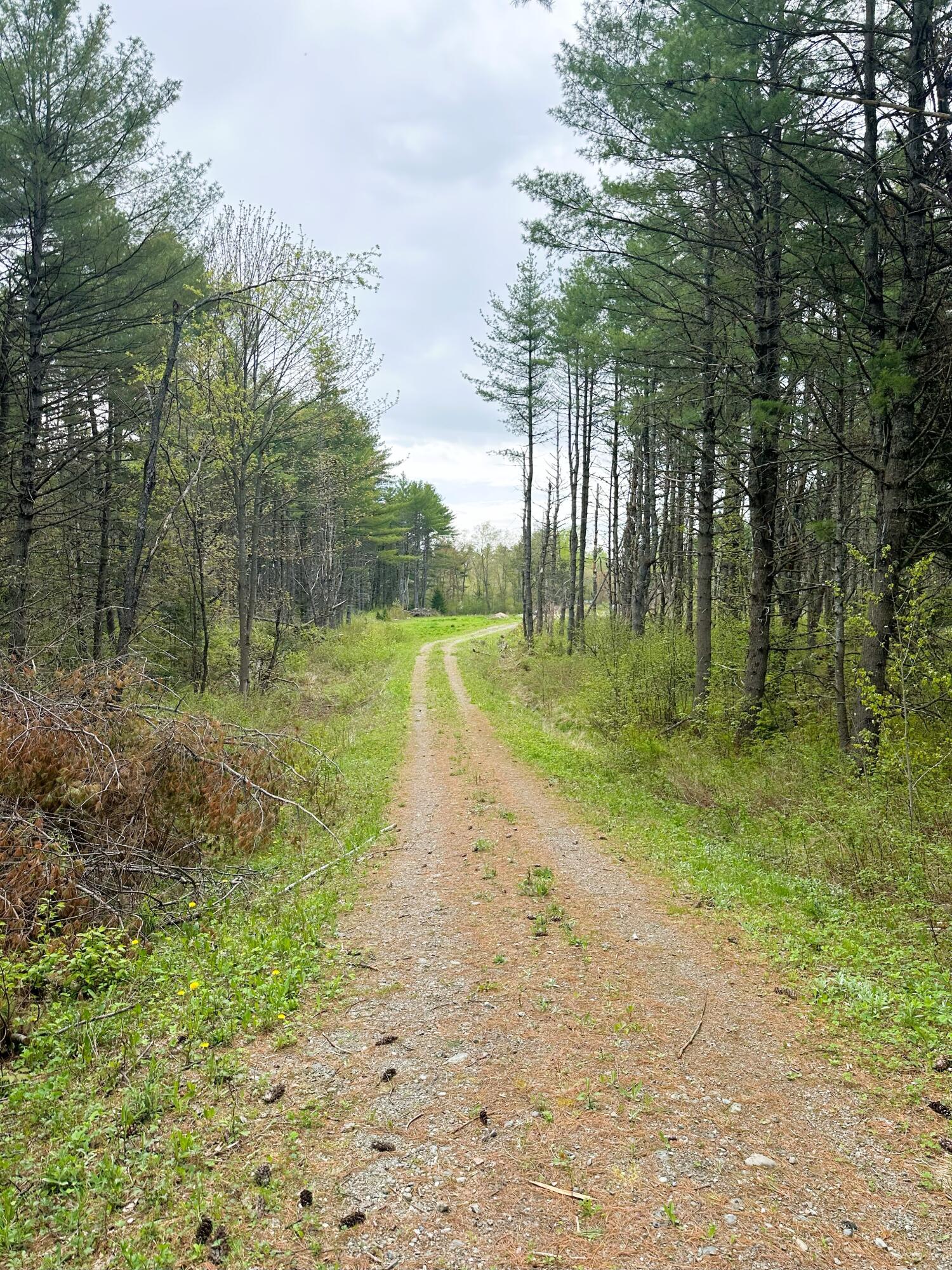 Lot 11 11a &11c Partridge Road Hampden ME 04444