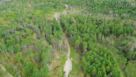 Lot 11 11a &11c Partridge Road Hampden ME 04444