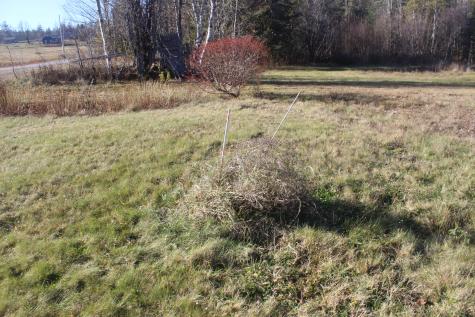 711 Shore Road Perry ME 04667