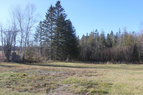 711 Shore Road Perry ME 04667