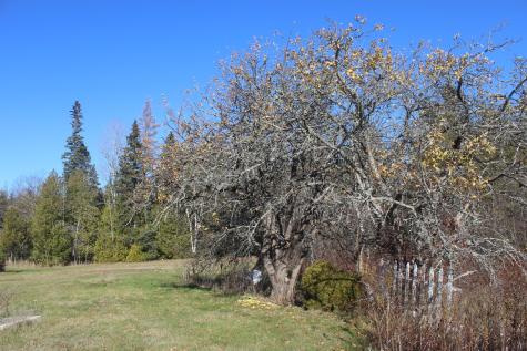 711 Shore Road Perry ME 04667