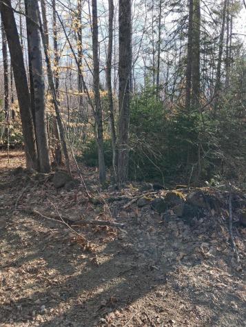 R9 Lot 44 Zions Hill Road Chesterville ME 04938