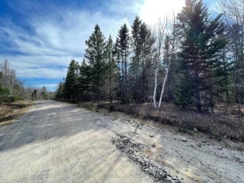 Lot #13 Putnam Drive Harrington ME 04643