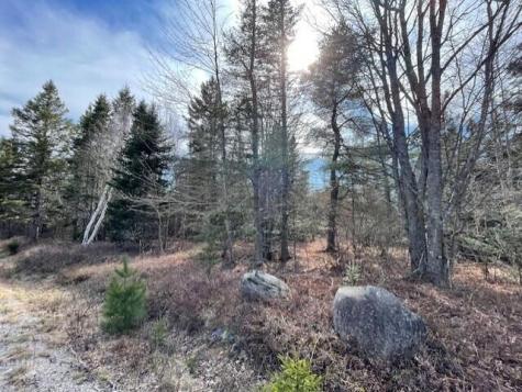 Lot #13 Putnam Drive Harrington ME 04643