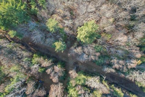 MAP7 Lot7 Route 204 Lamoine ME 04605