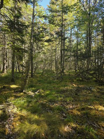 Lot 181 Rays Point Road Milbridge ME 04658