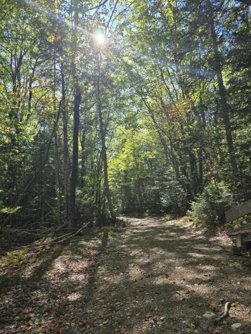 Lot 181 Rays Point Road Milbridge ME 04658