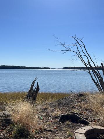 Lot 181 Rays Point Road Milbridge ME 04658