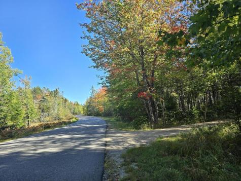 Lot 181 Rays Point Road Milbridge ME 04658