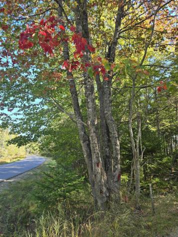 Lot 181 Rays Point Road Milbridge ME 04658