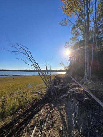 Lot 181 Rays Point Road Milbridge ME 04658