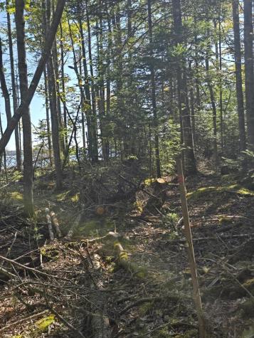 Lot 181 Rays Point Road Milbridge ME 04658