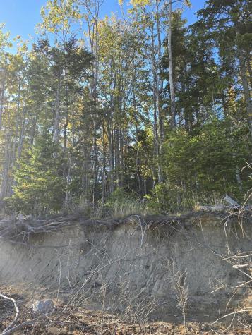 Lot 181 Rays Point Road Milbridge ME 04658