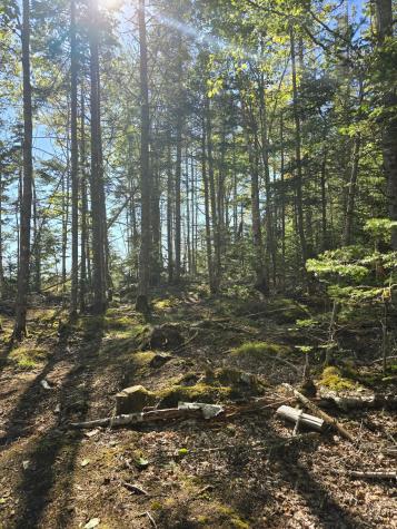 Lot 181 Rays Point Road Milbridge ME 04658