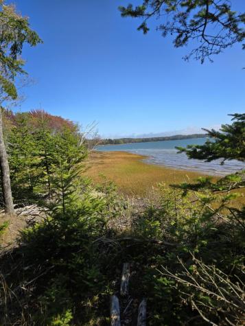 Lot 181 Rays Point Road Milbridge ME 04658