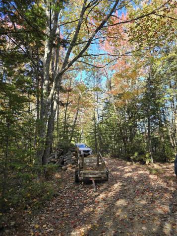 Lot 181 Rays Point Road Milbridge ME 04658