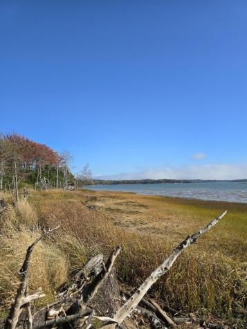 Lot 181 Rays Point Road Milbridge ME 04658
