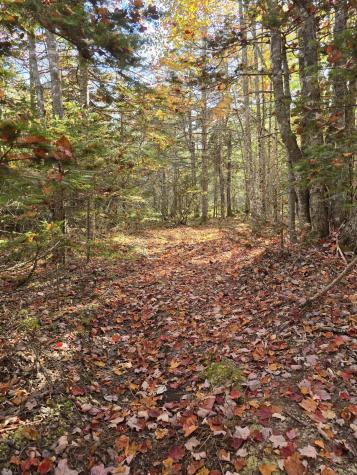 Lot 181 Rays Point Road Milbridge ME 04658