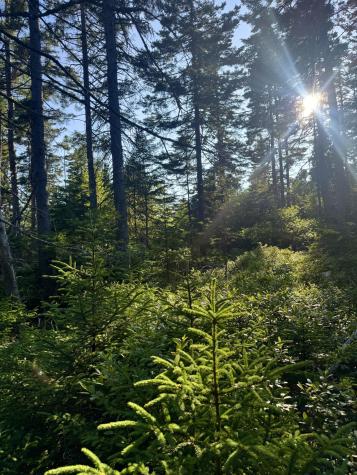 Lot #1 Pequot Road Vinalhaven ME 04863