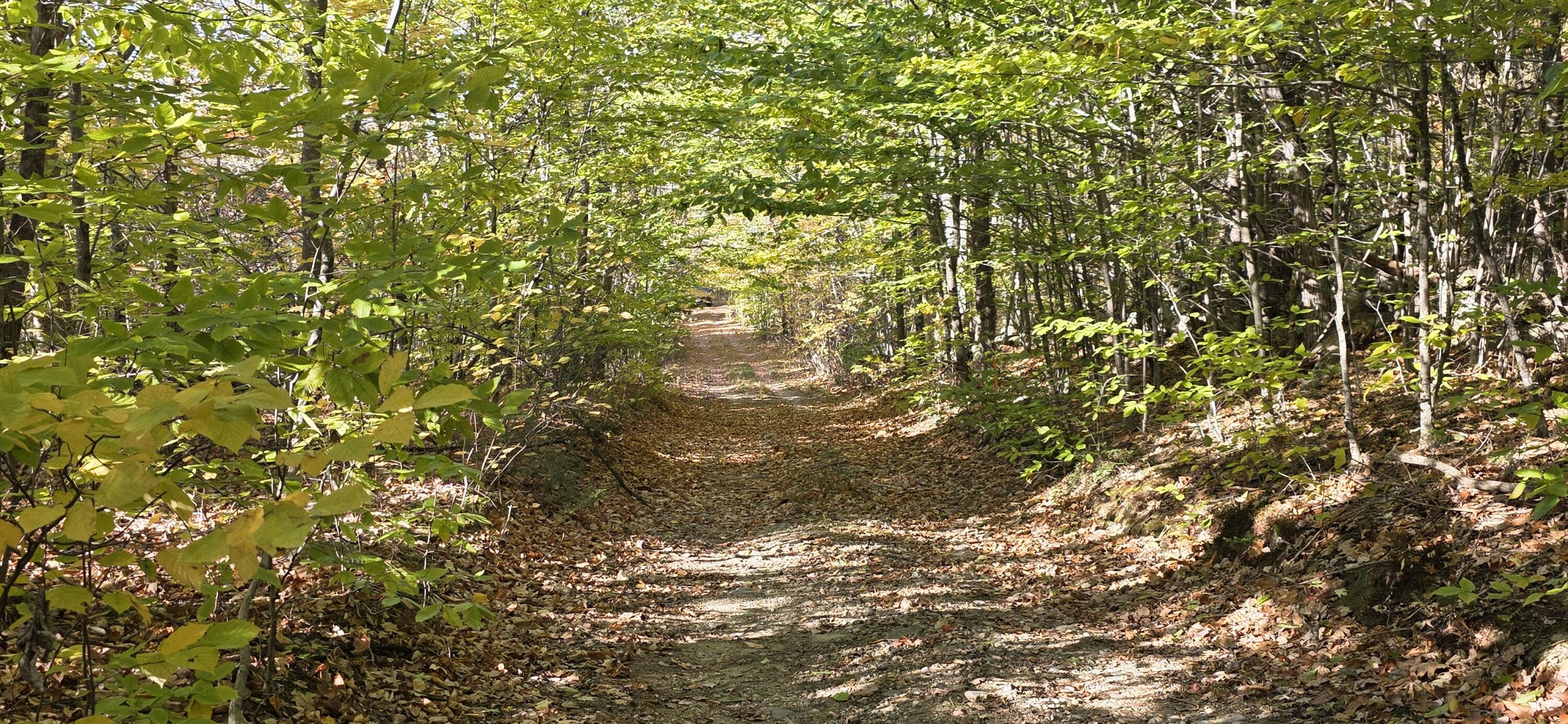 Map 07-09a Brett Hill Road Paris ME 04281