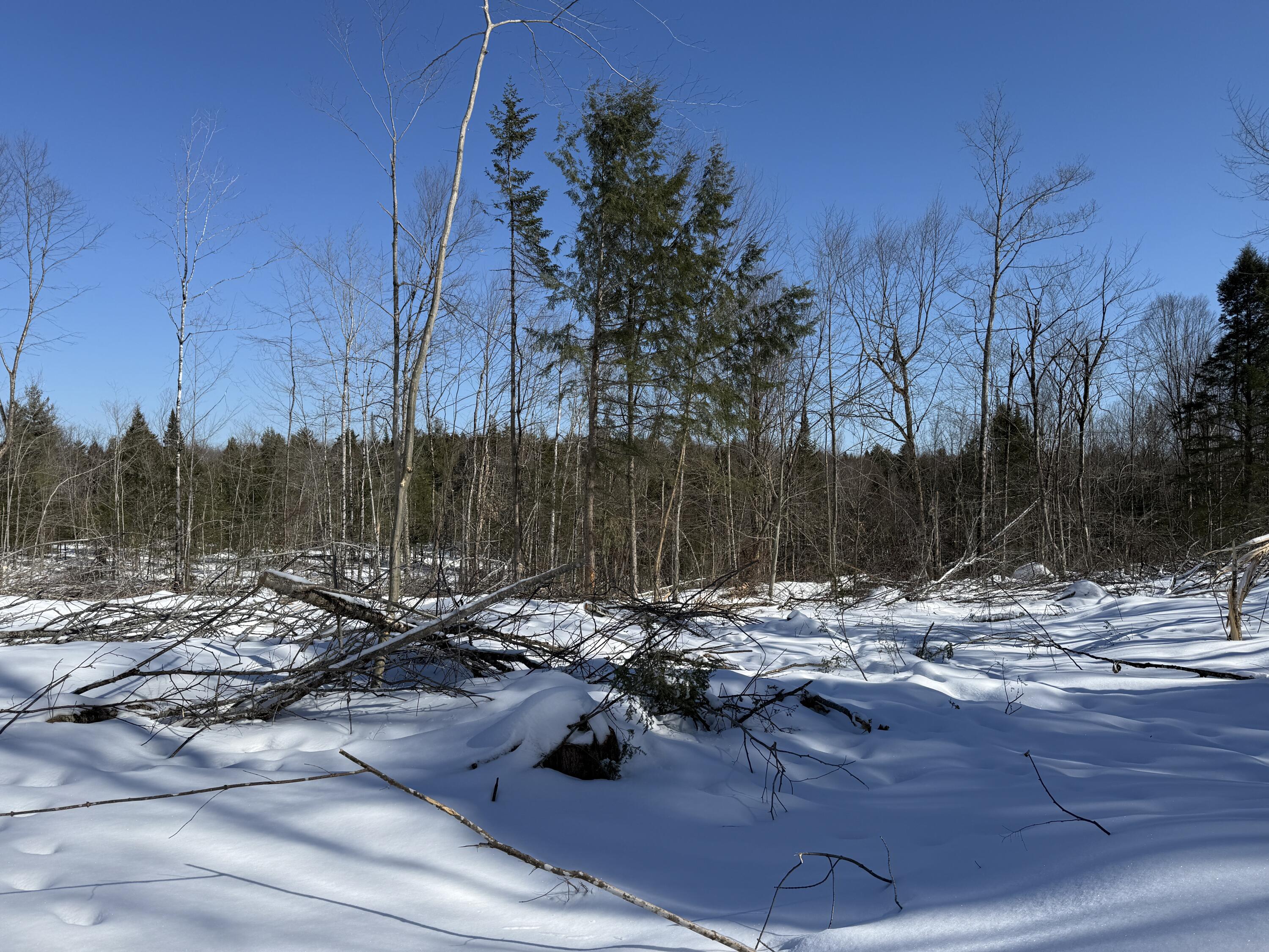 M 2 - L 1 Off Bean Road Mercer ME 04957