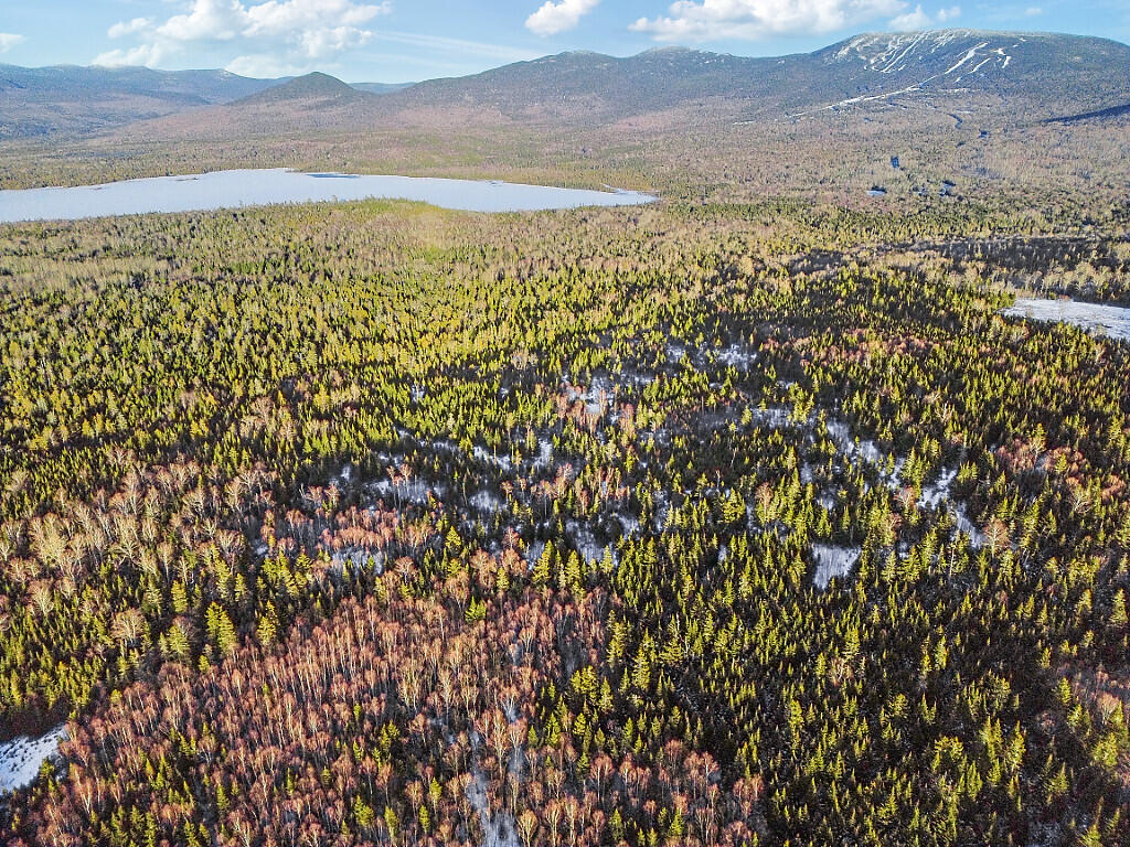 10/31 & 13 Birch Hill Way Dallas Plt ME 04970