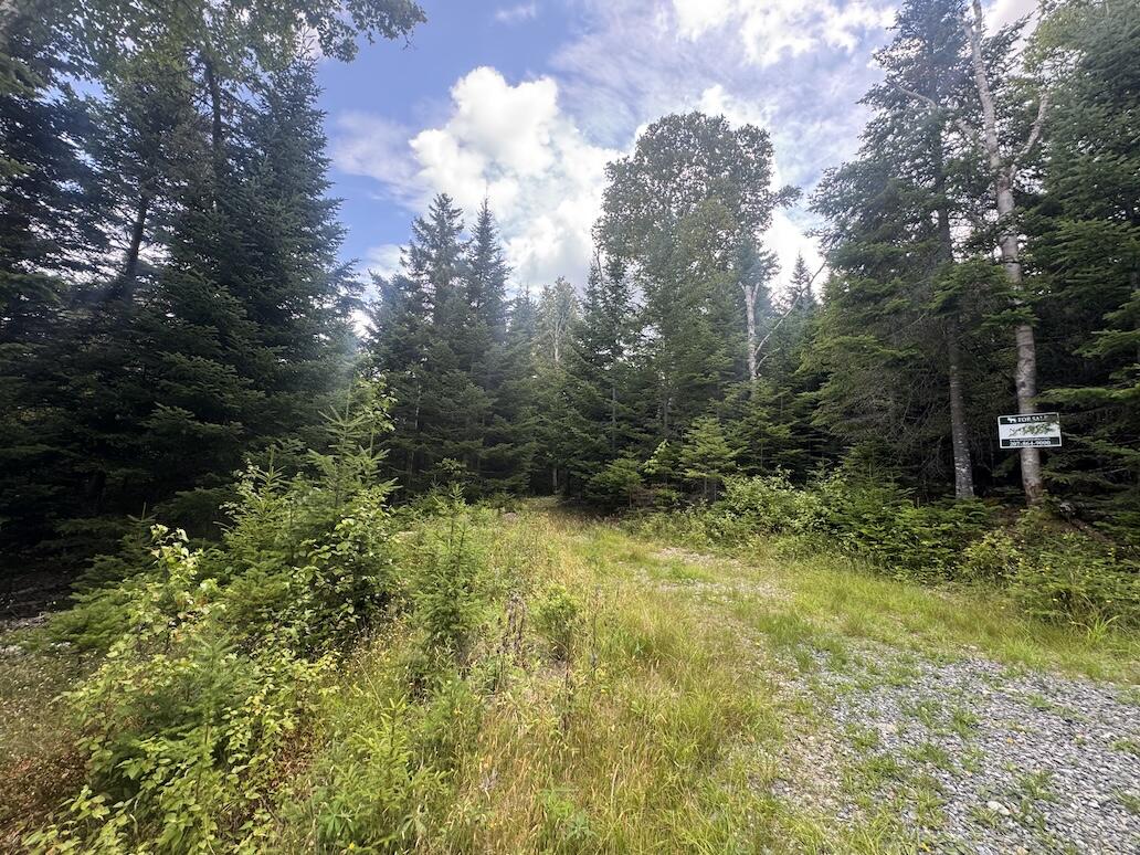 10/31 & 13 Birch Hill Way Dallas Plt ME 04970