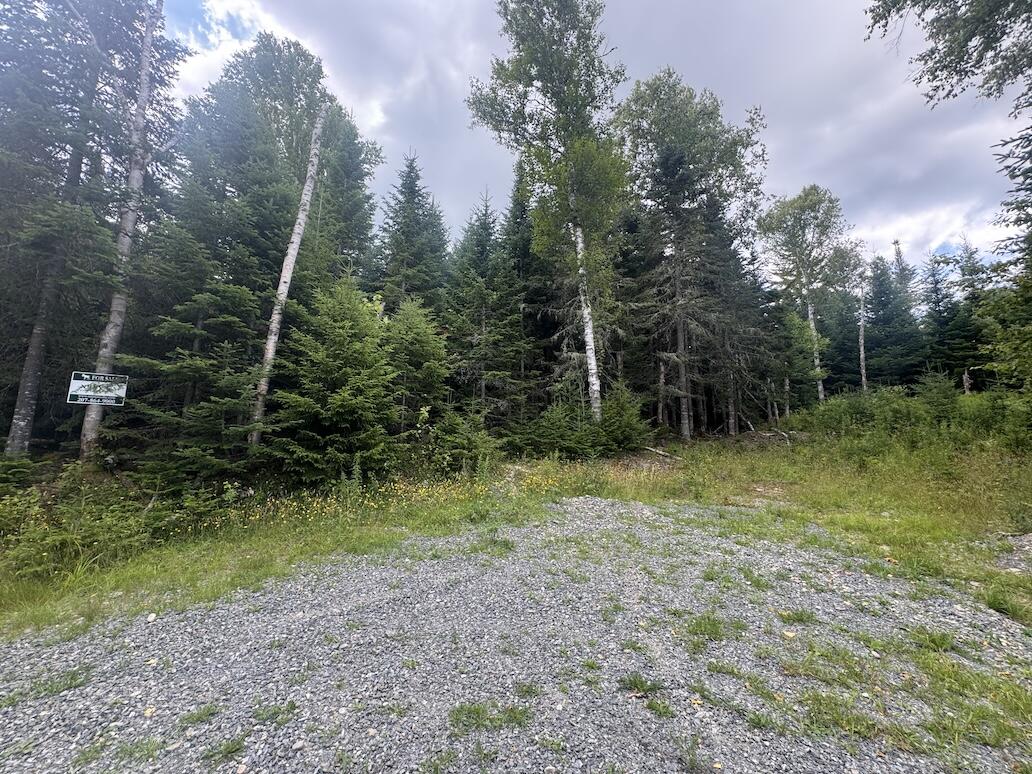 10/31 & 13 Birch Hill Way Dallas Plt ME 04970