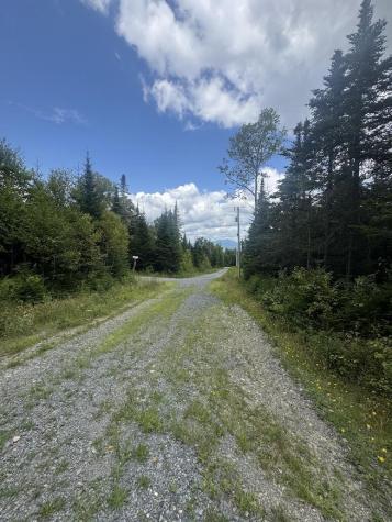 10/31 & 13 Birch Hill Way Dallas Plt ME 04970